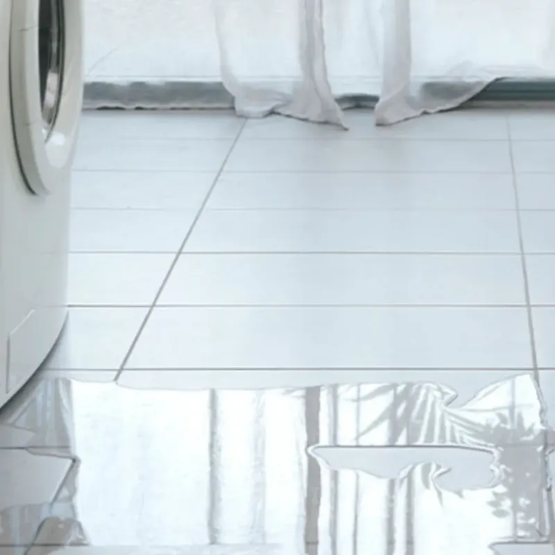 Appliance Leak Cleanup in Richmond, NH