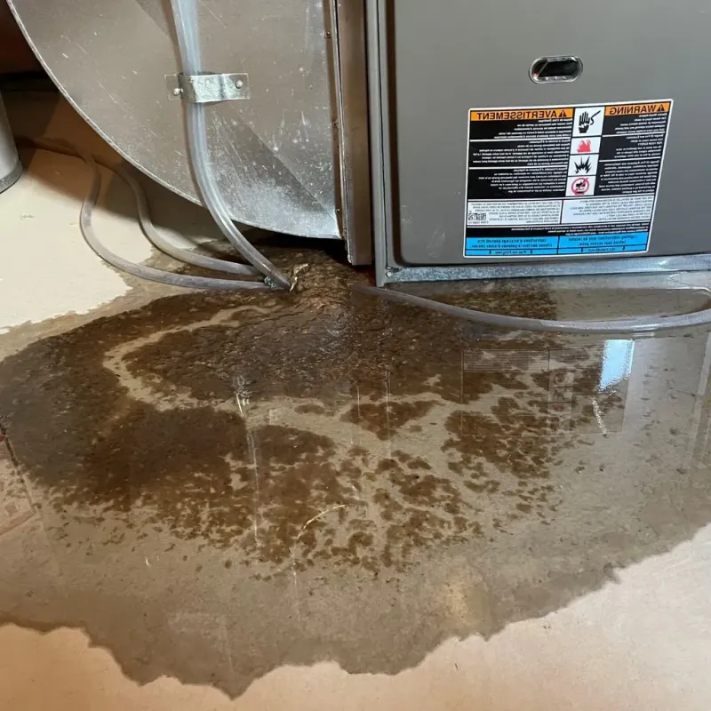 Pipe Burst and Leak Restoration in Richmond, NH